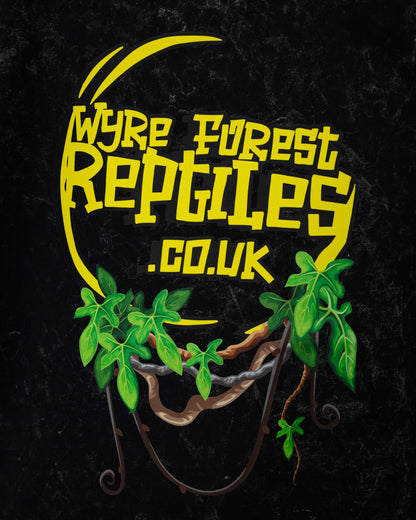 WFR T-Shirt